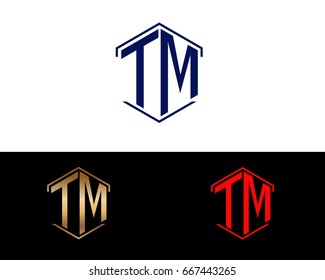 TM letters linked with hexagon shape logo