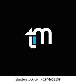 TM o MT abstract sobresaliente negocio profesional impresionante marca artística empresa de diferentes colores ilustración logo