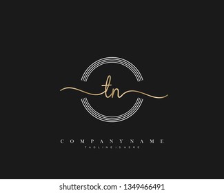 TN initial handwriting logo template vector