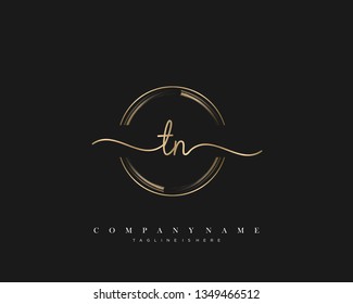TN initial handwriting logo template vector