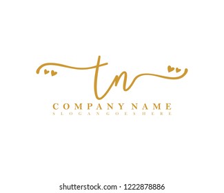 TN Initial handwriting logo vector