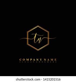 TN Initial luxury handwriting logo vector