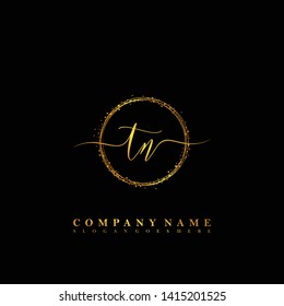 TN Initial luxury handwriting logo vector