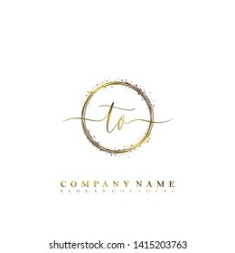 TN Initial luxury handwriting logo vector