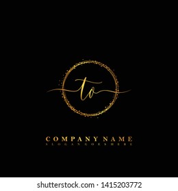 TN Initial luxury handwriting logo vector