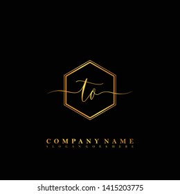TN Initial luxury handwriting logo vector