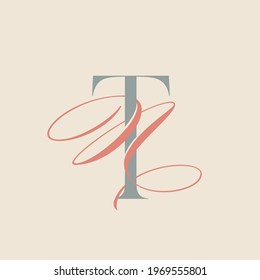 TN monogram logo.Calligraphic signature icon.Letter t and letter n intertwined.Lettering sign isolated on light background.Wedding alphabet initials.Elegant, luxury style.