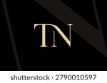 TN or NT letter logo icon design. Classic style luxury initials monogram.