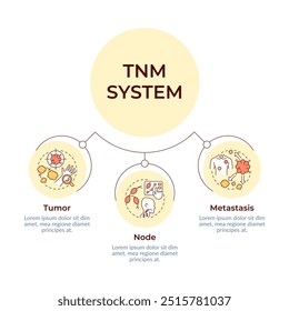 TNM system circular diagram infographic. Cancer diagnostics. Oncology. Tumor and metastasis. Data visualization with 3 options. Hierarchy chart round