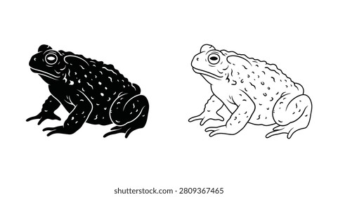 Toad amphibian silhouette and line art