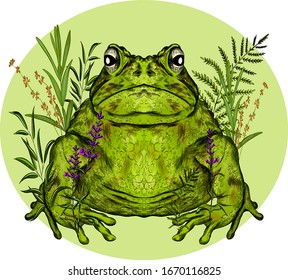 toad with branches overgrown the flowers reeds composition on a green circle background animal symmetric vector illustration