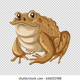 Toad with brown skin illustration