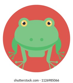 Toad is a common name for certain frogs. Like frogs, toads are amphibians