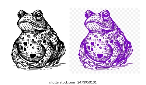 Toad , frog print design, hand drawn, vector illustration, black outline