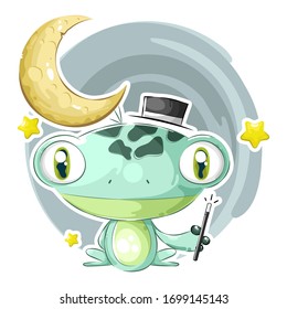 Toad  frog 