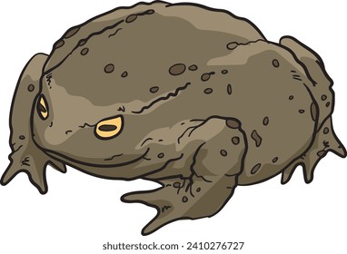 Toad Frog Wild Animal Vector Illustration