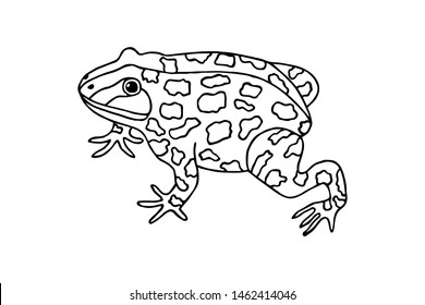  toad graphic patterns vector illustration eps10. coloring book