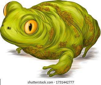 toad green realistic animal vector