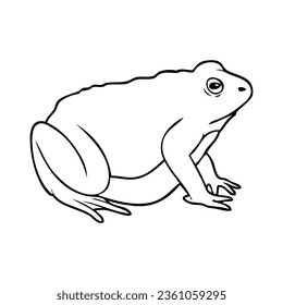 toad line vector illustration,isolated on white background,top view