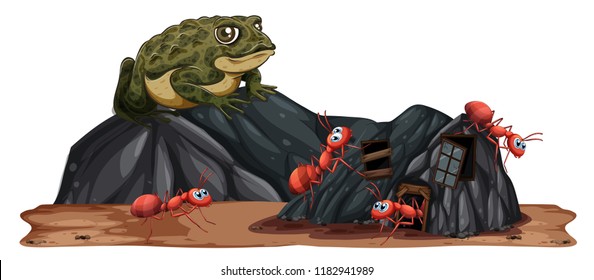 Toad looking at ants illustration