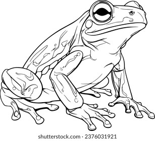 Toad Realistic Animal Hand Drawn Illustration Vector For Coloring Book