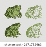 Toad sketch, frog, hand drawn vector illustration, monochrome