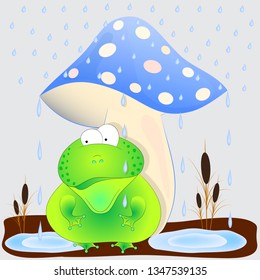 toad under the mushroom cartoon vector illustration.Cute Frog under the mushroom.  
