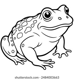 Toad vector illustration editable project. 