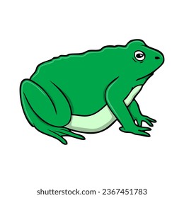 toad vector illustration,isolated on white background,top view