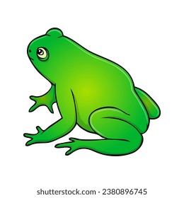 toad vector illustration,isolated on white background,top view