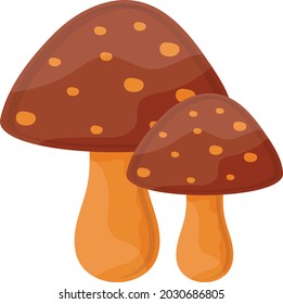 Toadstool Concept, Mushrooms or  fungus Vector Icon Design, Autumn or Fall activities Symbol, Dry weather Sign, Temperate climates Elements Stock illustration