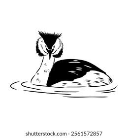 toadstool duck, vector sketch, Vector antique engraving drawing illustration duck