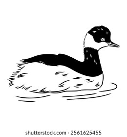 toadstool duck, vector sketch, Vector antique engraving drawing illustration duck