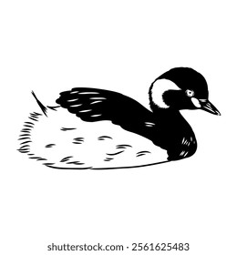 toadstool duck, vector sketch, Vector antique engraving drawing illustration duck