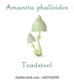 Toadstool isolated on white background. forest poison mushroom. high detailed illustration.Toadstool in trendy cartoon style. Vector illustration of amanita phalloides. Great for game or book design.