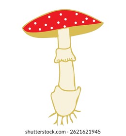 toadstool isolated on white background microbiology science illustration
