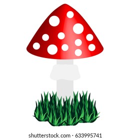 Toadstool isolated on white background.