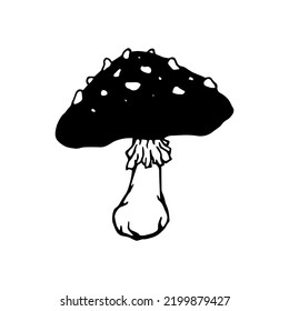 Toadstool mushroom botanical linear sketch.Vector graphic.