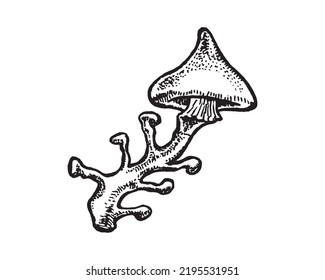 Toadstool mushroom hand drawn illustration.