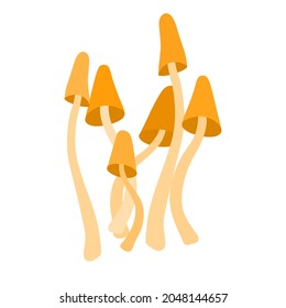 Toadstool mushroom illustration in flat style. Cute Amanita mushrooms illustration, isolated on white. Halloween concept. Good for web and print.