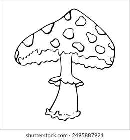 Toadstool Mushroom Line Icon. Hand drawn amanita fungus outline vector illustration. Forest Autumn symbol. Halloween mushroom.