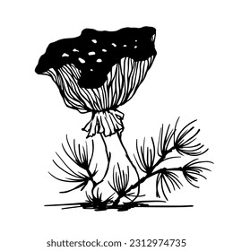 Toadstool mushrooms with forest plants,grass. Vector graphics.
