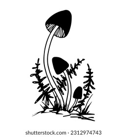 Toadstool mushrooms with forest plants,grass. Vector graphics.