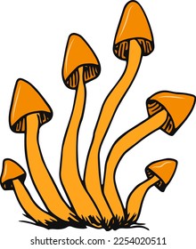 Toadstool mushrooms. Vector illustration. Poisonous plants.