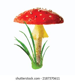 Toadstool on white background. Fly agaric vector picture. Picking mushrooms. Toadstool cartoon style. Amanita. Autumn forest. Watercolor toadstool. Picture for logo, greeting card and design.