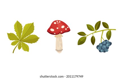 Toadstool with Red Cap and Berry Twig as Forest Botany Element Vector Set