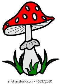 toadstool , red mushroom 