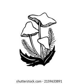 Toadstools. Mushrooms in the forest with vegetation.