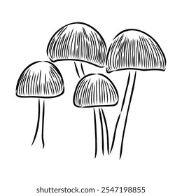 Toadstools, , vector illustrations. Sketch style, toadstool mushroom, vector