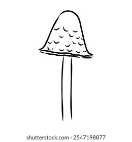 Toadstools, , vector illustrations. Sketch style, toadstool mushroom, vector